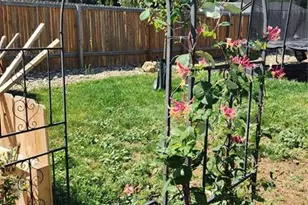 6815 Quarter Circle Rd, Colorado Springs, CO 80922 - Photo 28