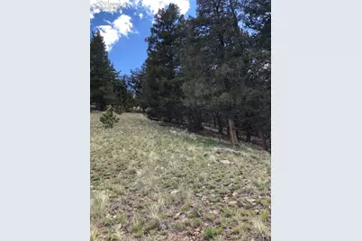 682 Nancy Ann Arroyo, Guffey, CO 80820 - Photo 34