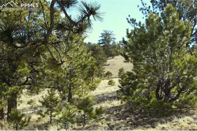 Ahlers Road, Hartsel, CO 80449 - Photo 8