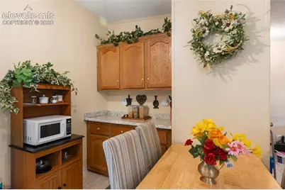 427 S Woodland Avenue, Woodland Park, CO 80863 - Photo 12