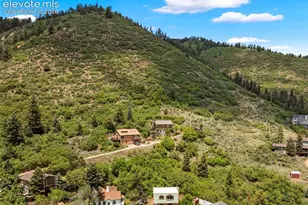 410 Thompson Pl, Palmer Lake, CO 80133 - Photo 42