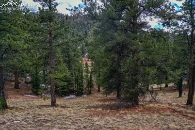 395 Wabash Terrace, Cripple Creek, CO 80813 - Photo 12