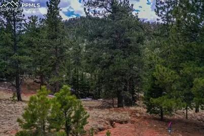 395 Wabash Terrace, Cripple Creek, CO 80813 - Photo 14