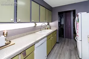 411 Lakewood Circle, Colorado Springs, CO 80910 - Photo 18