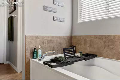 7241 Thorn Brush Way, Colorado Springs, CO 80923 - Photo 22