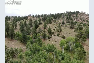 76 Crocus Circle, Florissant, CO 80816 - Photo 1