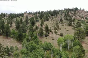 76 Crocus Cir, Florissant, CO 80816 - Photo 1