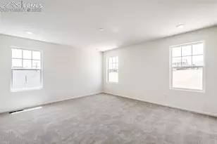 1821 Water Birch Wy, Castle Rock, CO 80108 - Photo 22