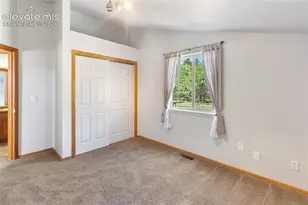 481 Black Bear Trail, Woodland Park, CO 80863 - Photo 18