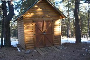 364 Kutsu Ridge Rd, Florissant, CO 80816 - Photo 12