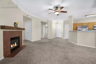 3831 Riviera Grove, Colorado Springs, CO 80922 - Photo 14
