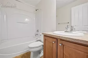 972 Burning Bush Point, Monument, CO 80132 - Photo 20