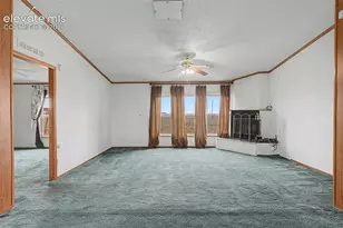 11770 Tracy Ln, Peyton, CO 80831 - Photo 4