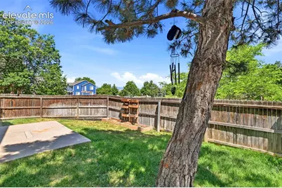 3135 River Valley View, Colorado Springs, CO 80922 - Photo 40