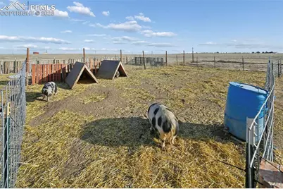 9800 Boone Road, Yoder, CO 80864 - Photo 12