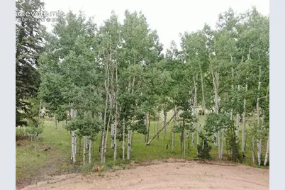 76 Crocus Circle, Florissant, CO 80816 - Photo 6