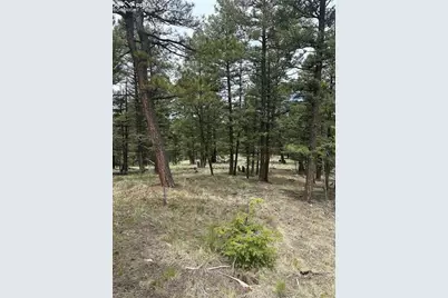 1120/1086 N Mountain Estates Road, Florissant, CO 80816 - Photo 6