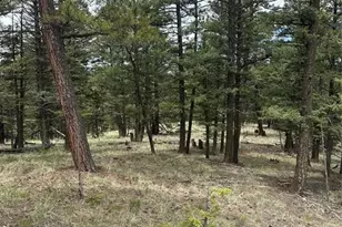 1120/1086 N Mountain Estates Rd, Florissant, CO 80816 - Photo 1