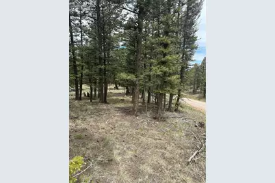 1120/1086 N Mountain Estates Road, Florissant, CO 80816 - Photo 4