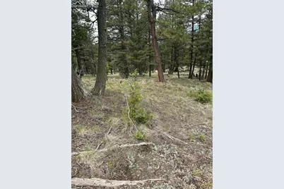 1120/1086 N Mountain Estates Road, Florissant, CO 80816 - Photo 2