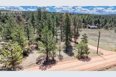 212 Obsidian Drive, Florissant, CO 80816 - Photo 6
