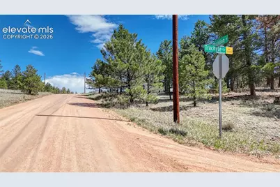 212 Obsidian Drive, Florissant, CO 80816 - Photo 24