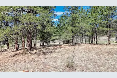 212 Obsidian Drive, Florissant, CO 80816 - Photo 4