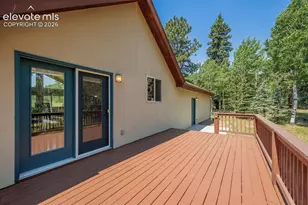 392 Aspen Village Rd, Divide, CO 80814 - Photo 38
