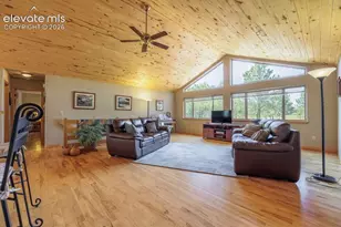 392 Aspen Village Rd, Divide, CO 80814 - Photo 8