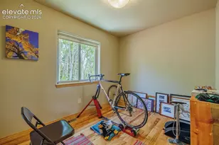 392 Aspen Village Rd, Divide, CO 80814 - Photo 26