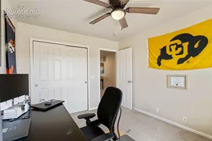 6034 Sierra Grande Point, Colorado Springs, CO 80923 - Photo 20
