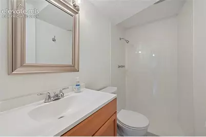 7010 Burroback Court, Colorado Springs, CO 80911 - Photo 44