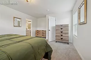 6382 Barr Pt, Colorado Springs, CO 80924 - Photo 20