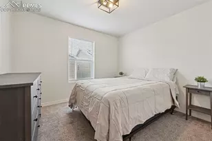 6382 Barr Pt, Colorado Springs, CO 80924 - Photo 24