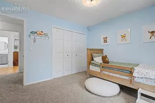 540 Grey Eagle Dr, Colorado Springs, CO 80919 - Photo 26