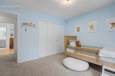 540 Grey Eagle Drive, Colorado Springs, CO 80919 - Photo 28
