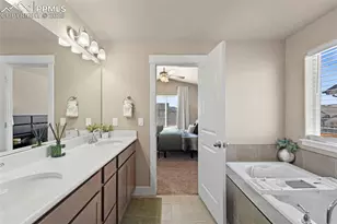 2972 Namib Dr, Colorado Springs, CO 80939 - Photo 24