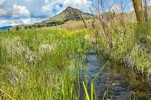 11105 Co Rd 102, Guffey, CO 80820 - Photo 26