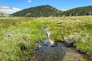 11105 Co Rd 102, Guffey, CO 80820 - Photo 28