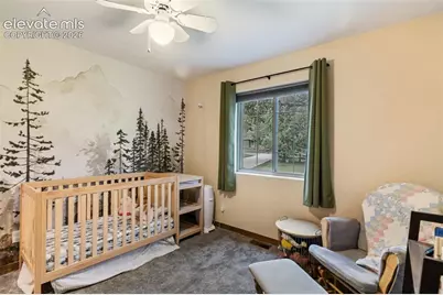500 County Road, Woodland Park, CO 80863 - Photo 30