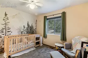 500 County Rd, Woodland Park, CO 80863 - Photo 30