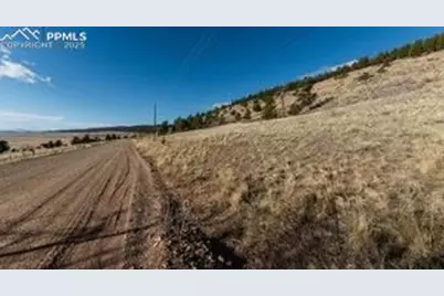 3503 Redhill Road, Florissant, CO 80440 - Photo 4