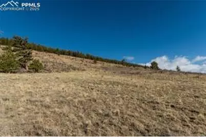 3503 Redhill Road, Florissant, CO 80440 - Photo 6