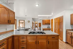 390 E Stirrup Trail, Monument, CO 80132 - Photo 14