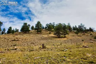 1888 Lakeview Dr, Lake George, CO 80827 - Photo 10