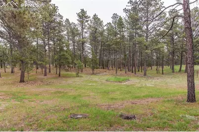 8755 Burgess Road, Colorado Springs, CO 80908 - Photo 30