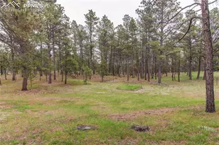 8755 Burgess Rd, Colorado Springs, CO 80908 - Photo 30