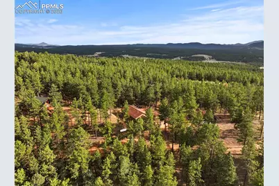 1110 Pikes Peak Drive, Florissant, CO 80816 - Photo 40