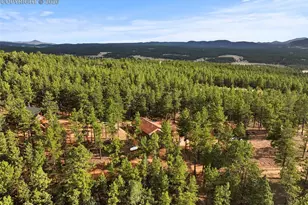 1110 Pikes Peak Dr, Florissant, CO 80816 - Photo 40