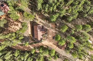 1110 Pikes Peak Dr, Florissant, CO 80816 - Photo 46